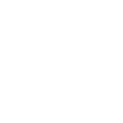 Phoenix Motorsport