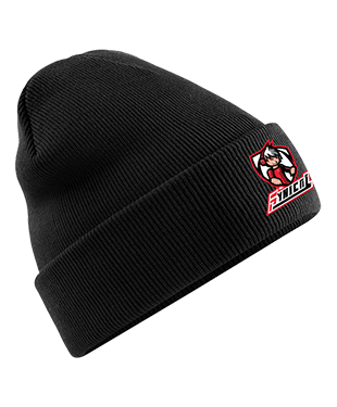 Synical Gamers - Cuffed Beanie