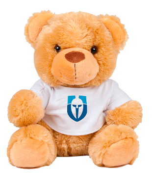 ICLGE - Bear in a T-Shirt