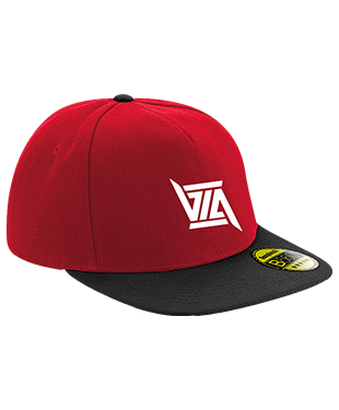 ViA eSports - Snapback Cap