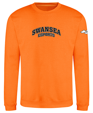 Swansea Esports - Sweatshirt