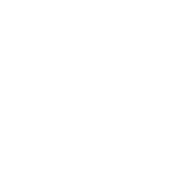Team Eninx