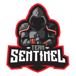 Team Sentinel