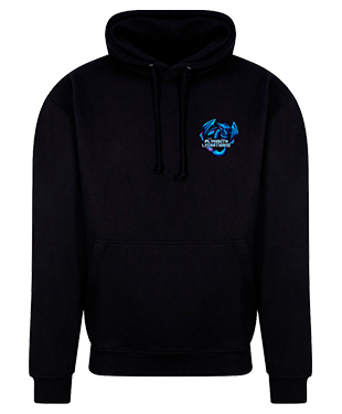 University of Plymouth - Casual Hoodie - Gamers Apparel