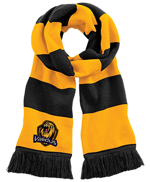 Validus - Stadium Scarf