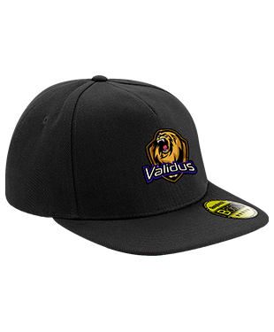 Validus - Snapback Cap