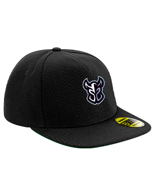 Paladins - Snapback Cap