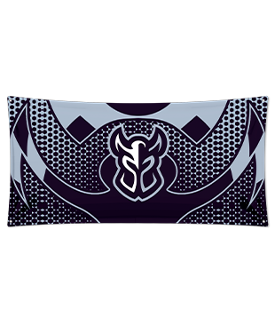 Paladins - Wall Flag