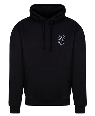 Paladins - Casual Hoodie